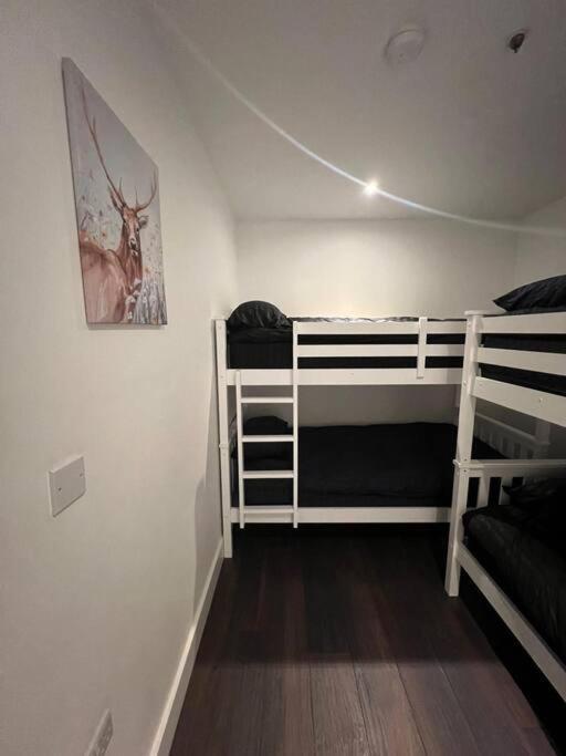 Lovely Sleep 8 Flat 20 Mins Central London Bp153 المظهر الخارجي الصورة